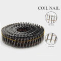 Hot Selling Coil Nails mit Plain Shank aus China